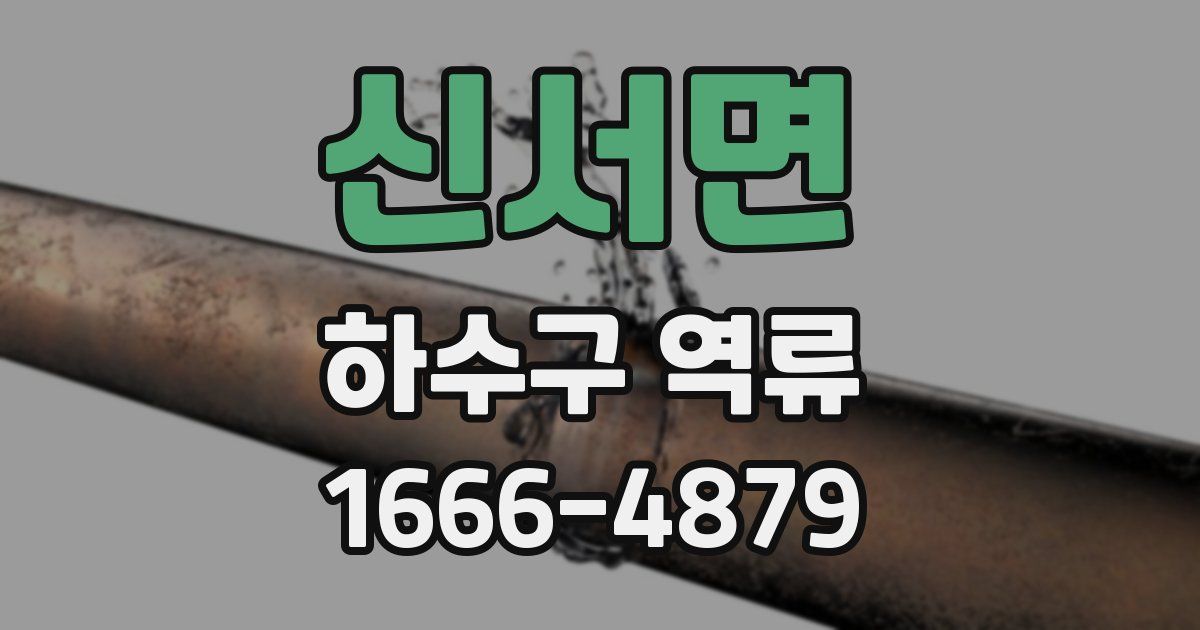 신서면 하수구 역류