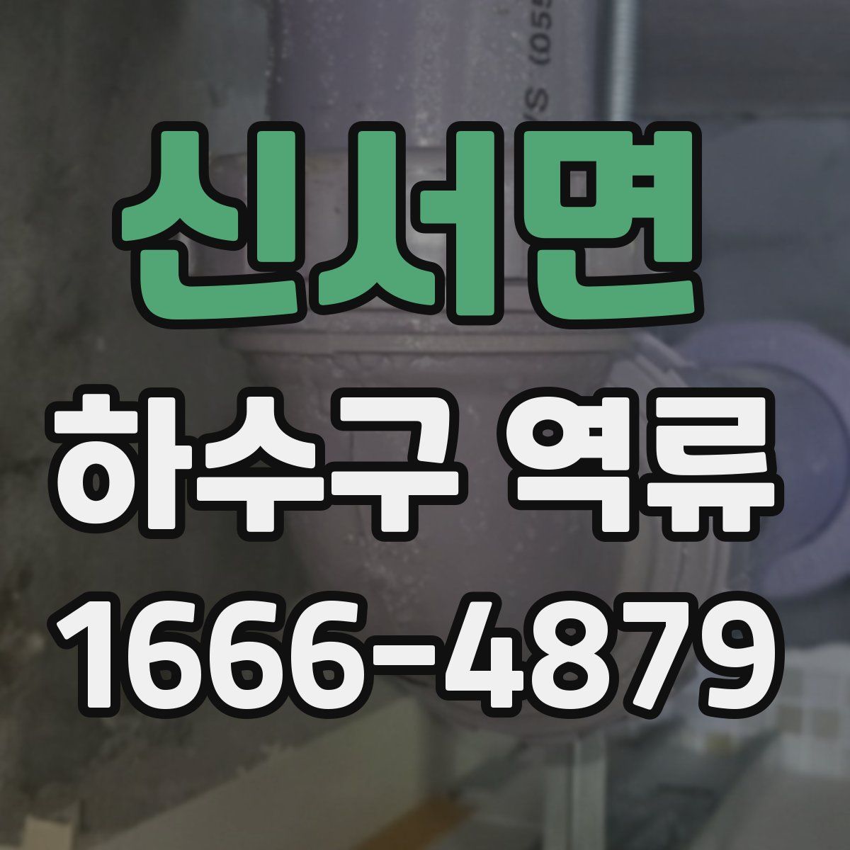 신서면 하수구 역류