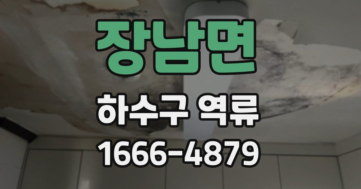 장남면 하수구 역류