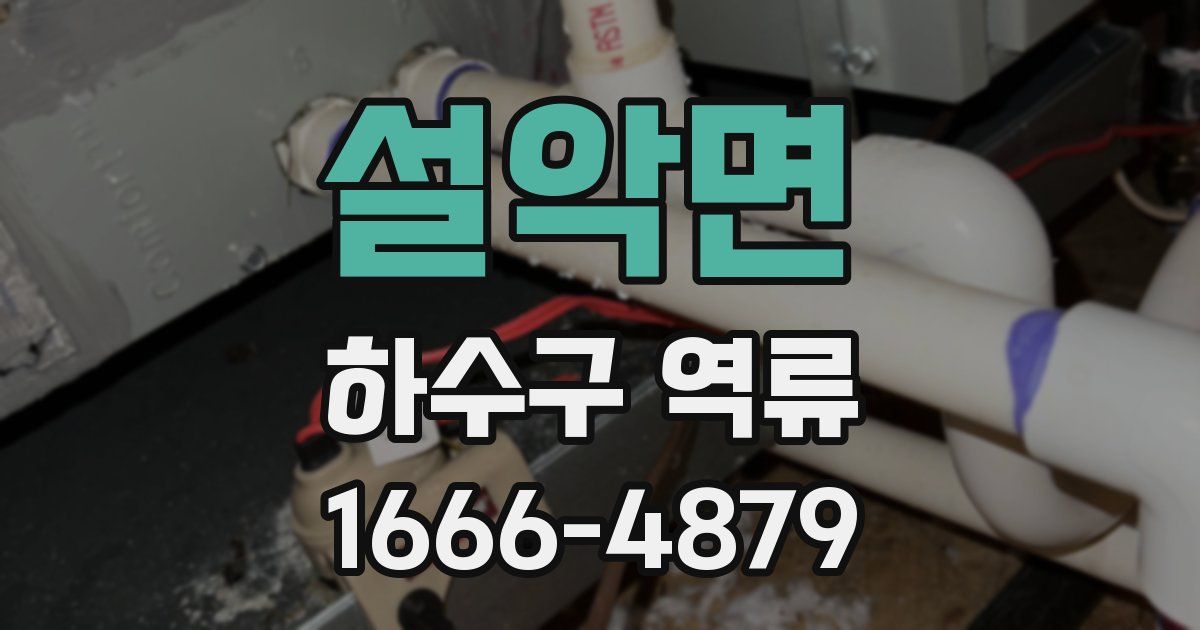 설악면 하수구 역류