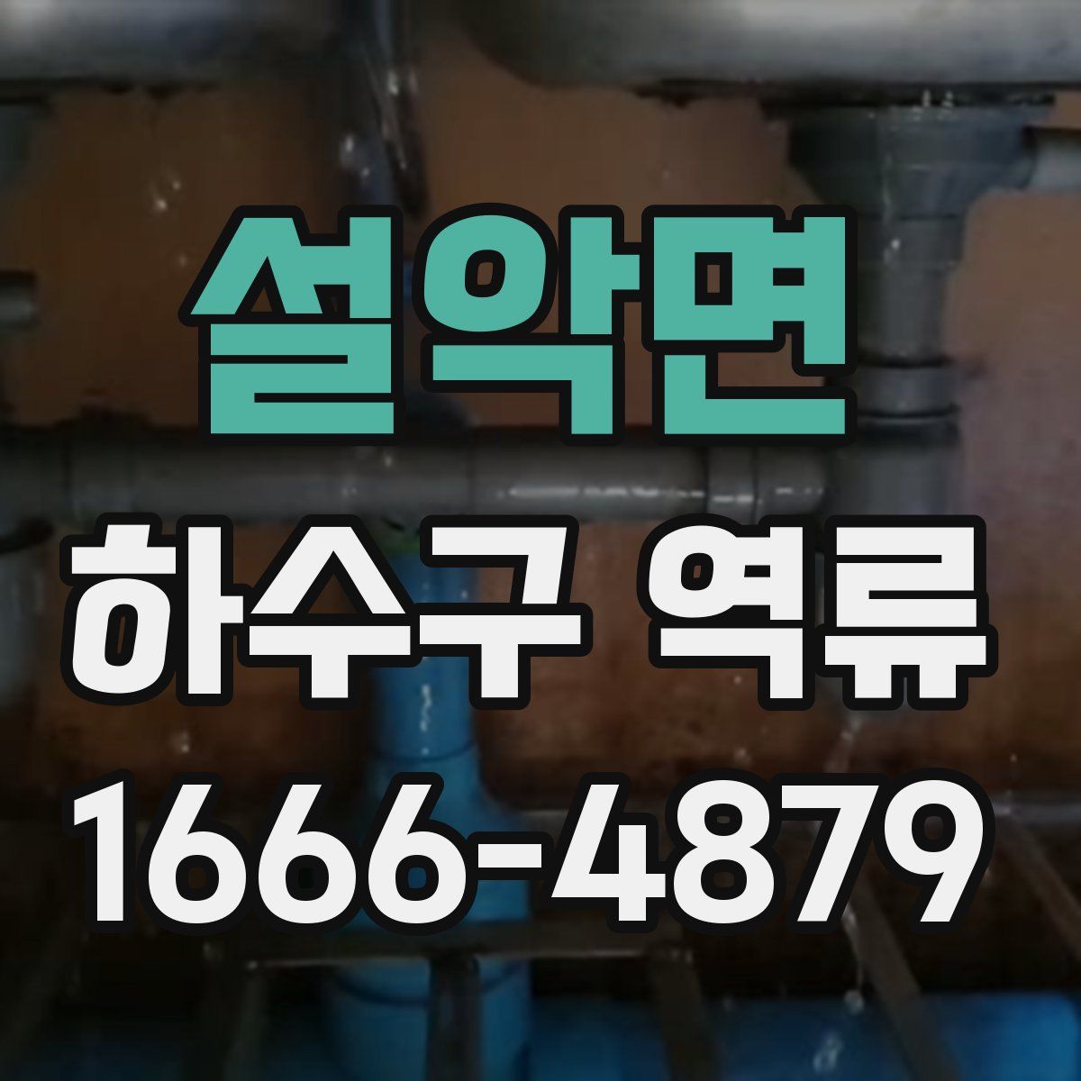 설악면 하수구 역류