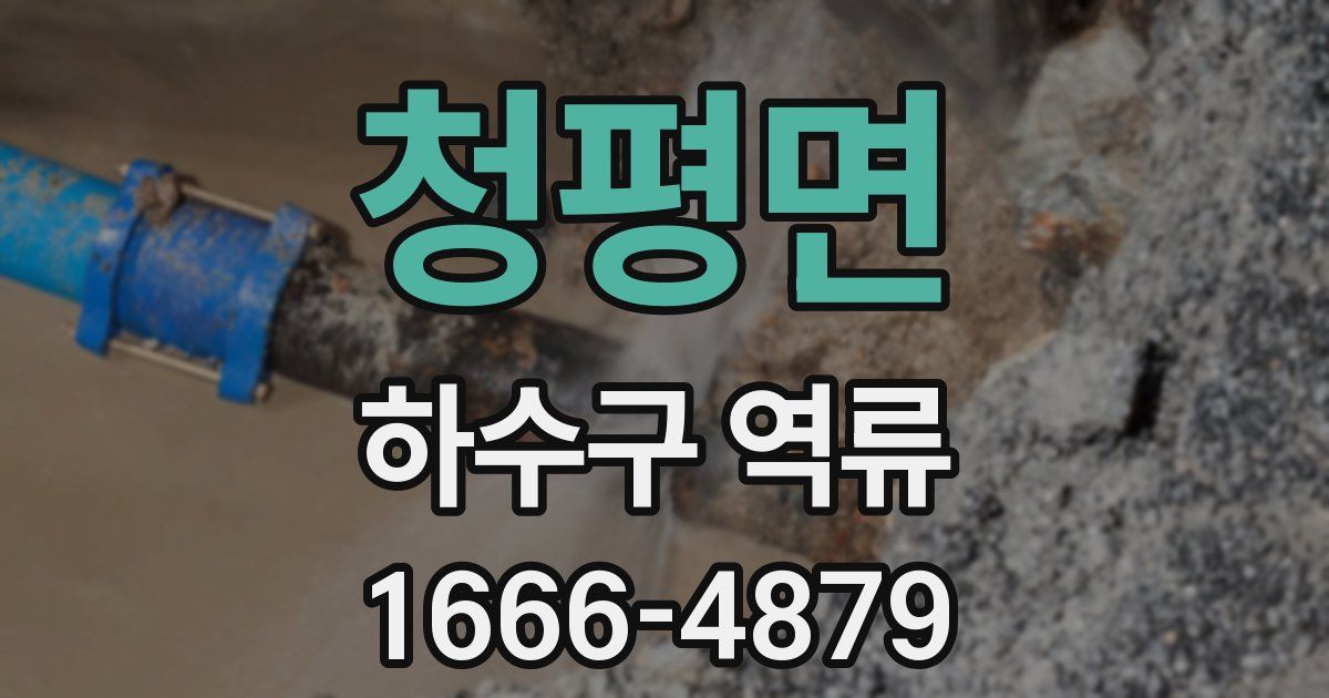 청평면 하수구 역류