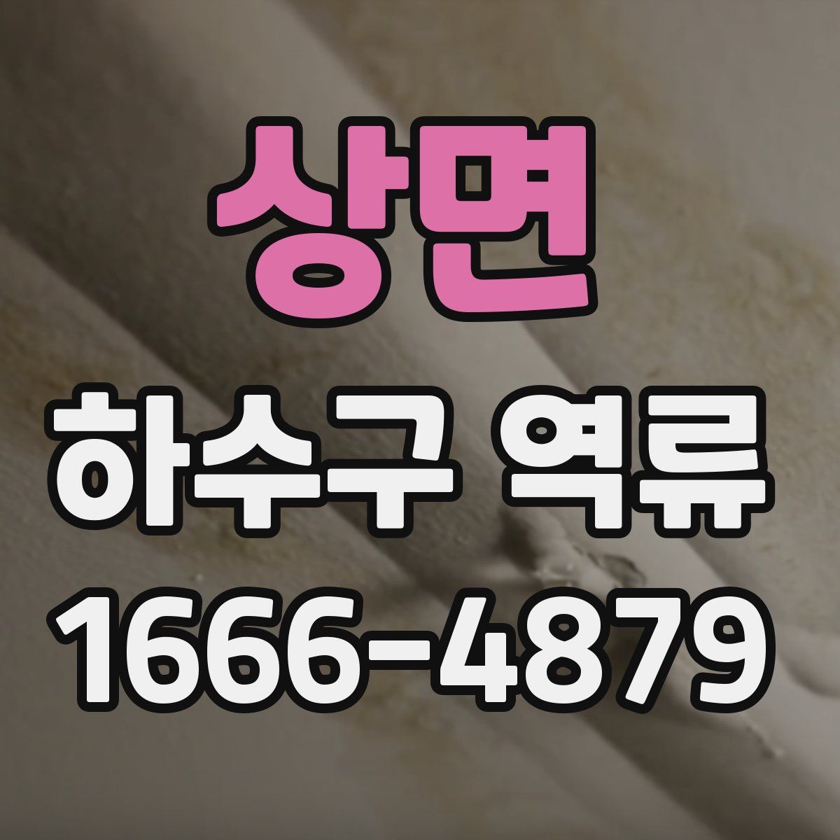 상면 하수구 역류