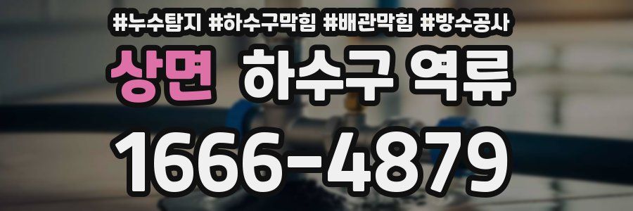 상면 하수구 역류