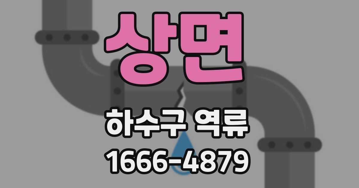 상면 하수구 역류