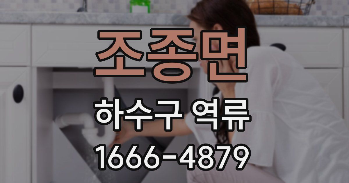 조종면 하수구 역류