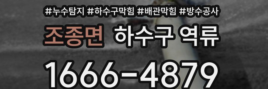 조종면 하수구 역류