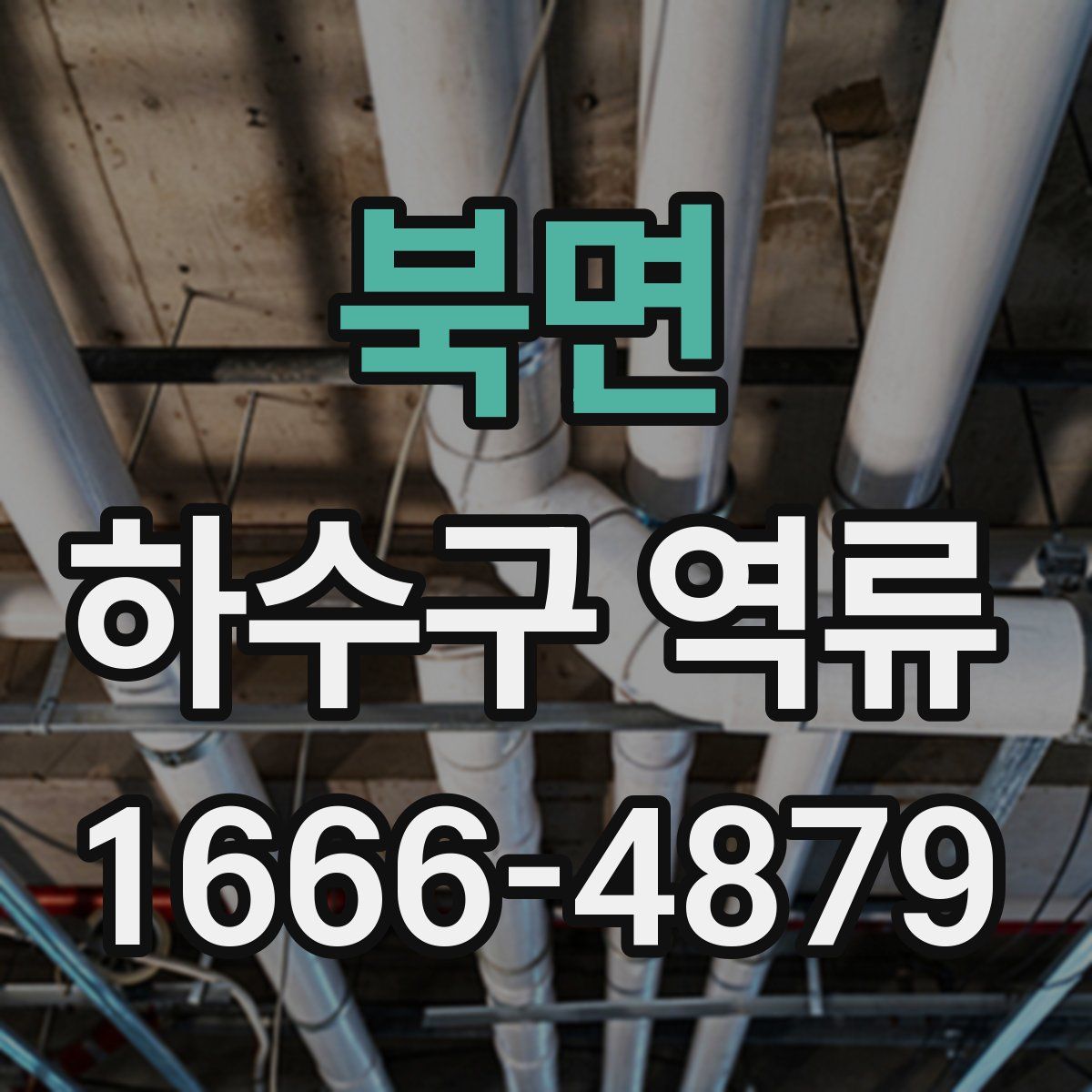 북면 하수구 역류