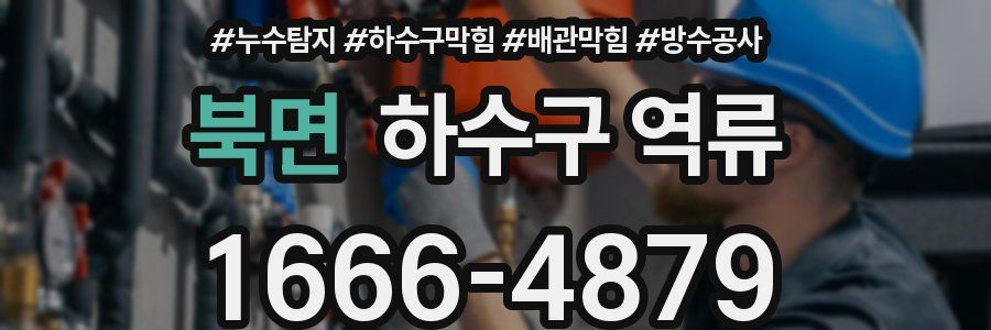 북면 하수구 역류