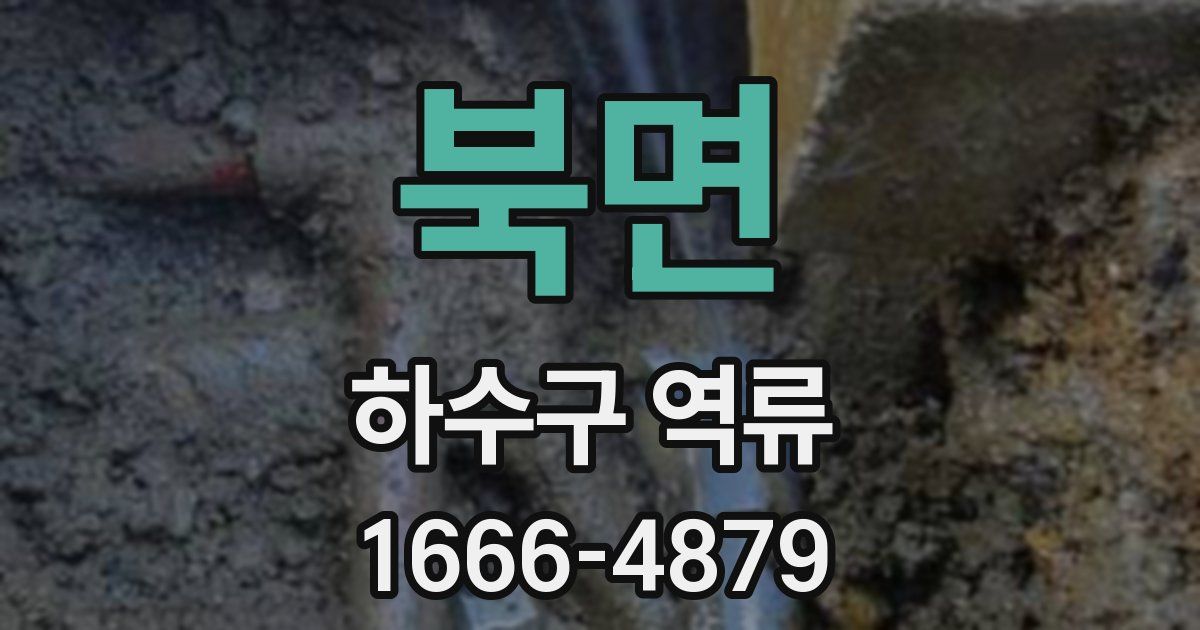 북면 하수구 역류
