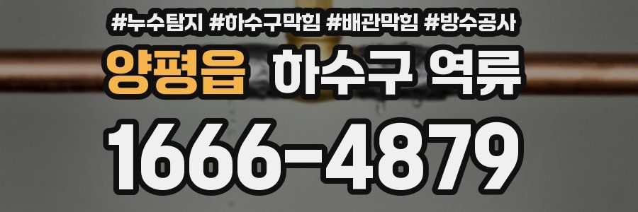 양평읍 하수구 역류