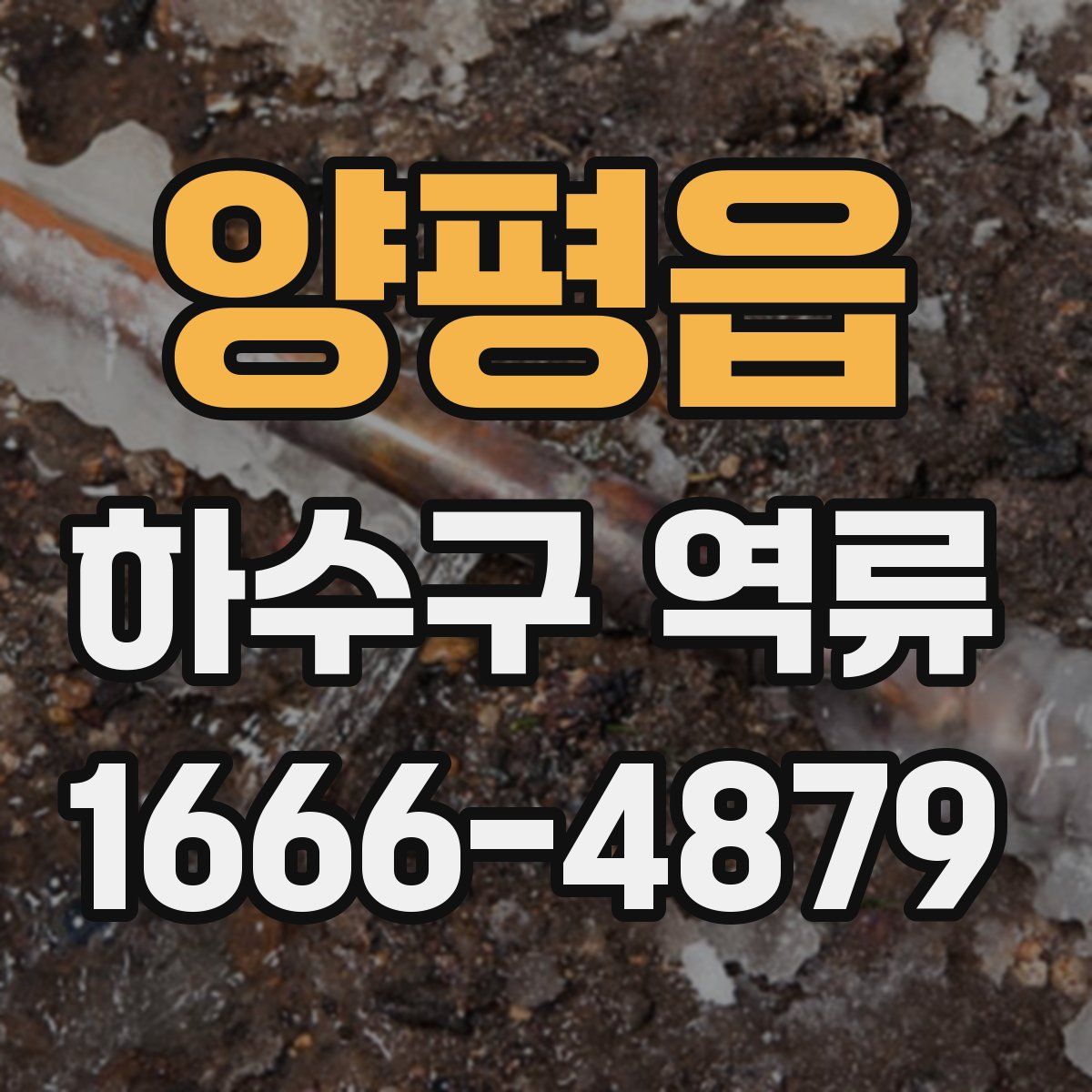 양평읍 하수구 역류