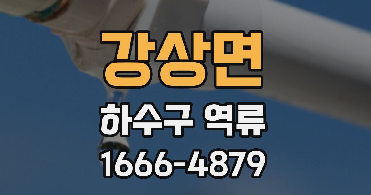 강상면 하수구 역류