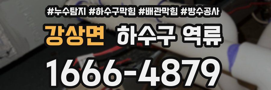 강상면 하수구 역류