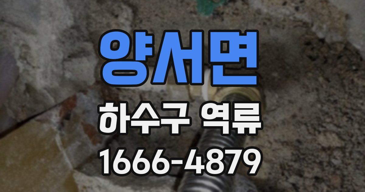 양서면 하수구 역류