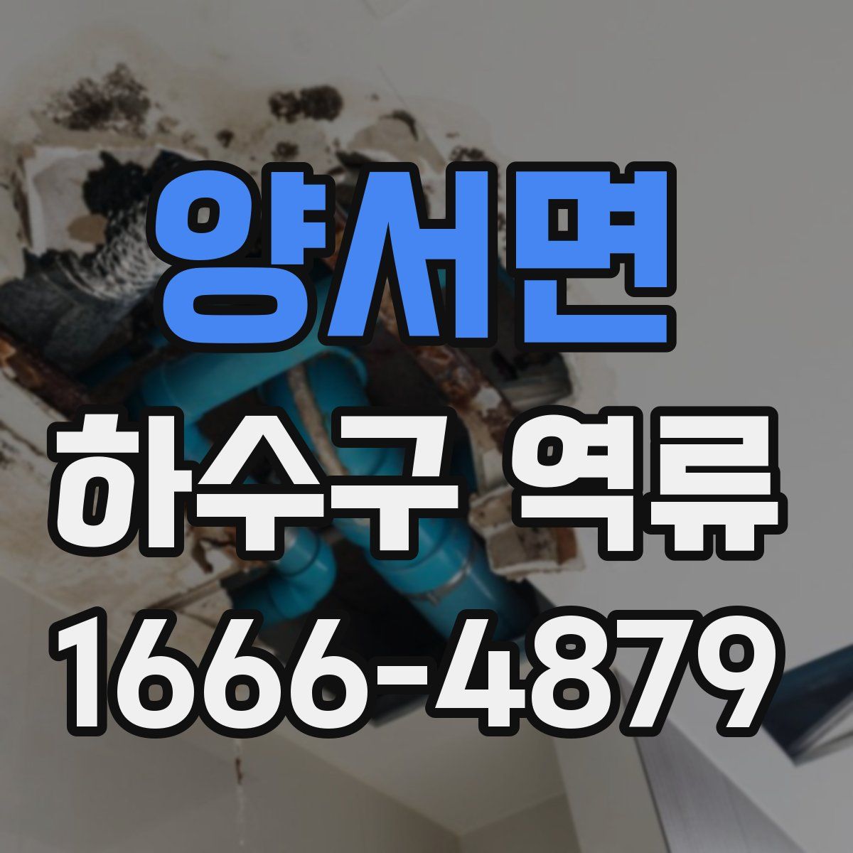 양서면 하수구 역류
