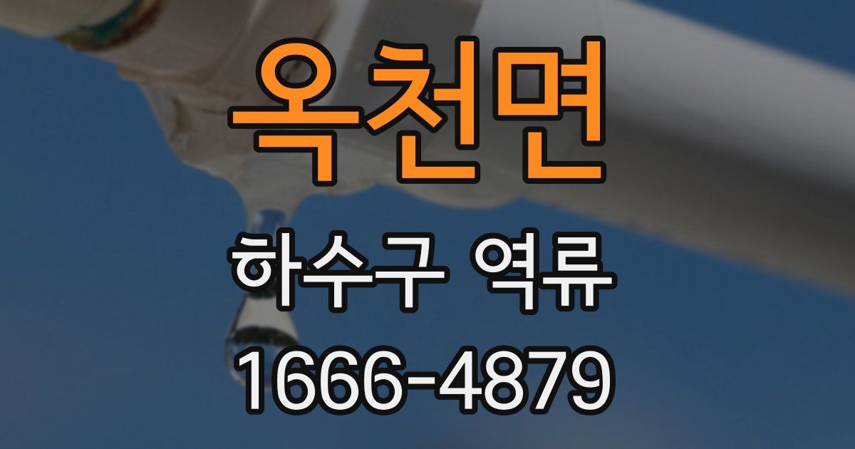 옥천면 하수구 역류