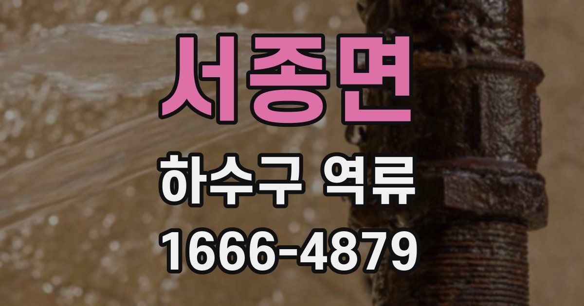 서종면 하수구 역류
