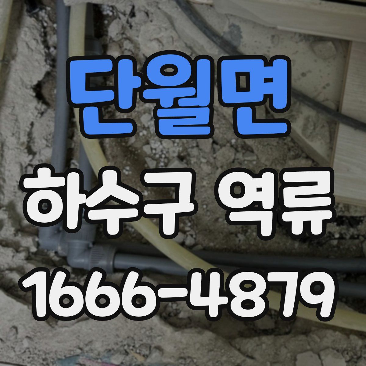 단월면 하수구 역류