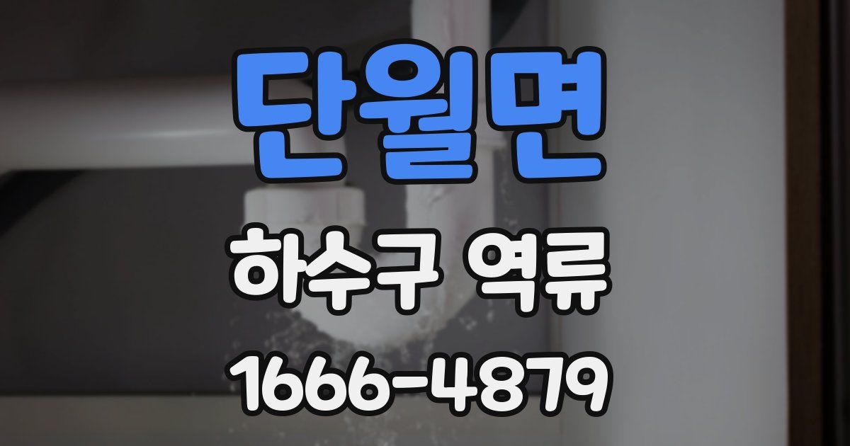 단월면 하수구 역류