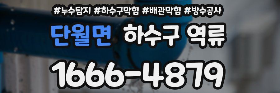 단월면 하수구 역류