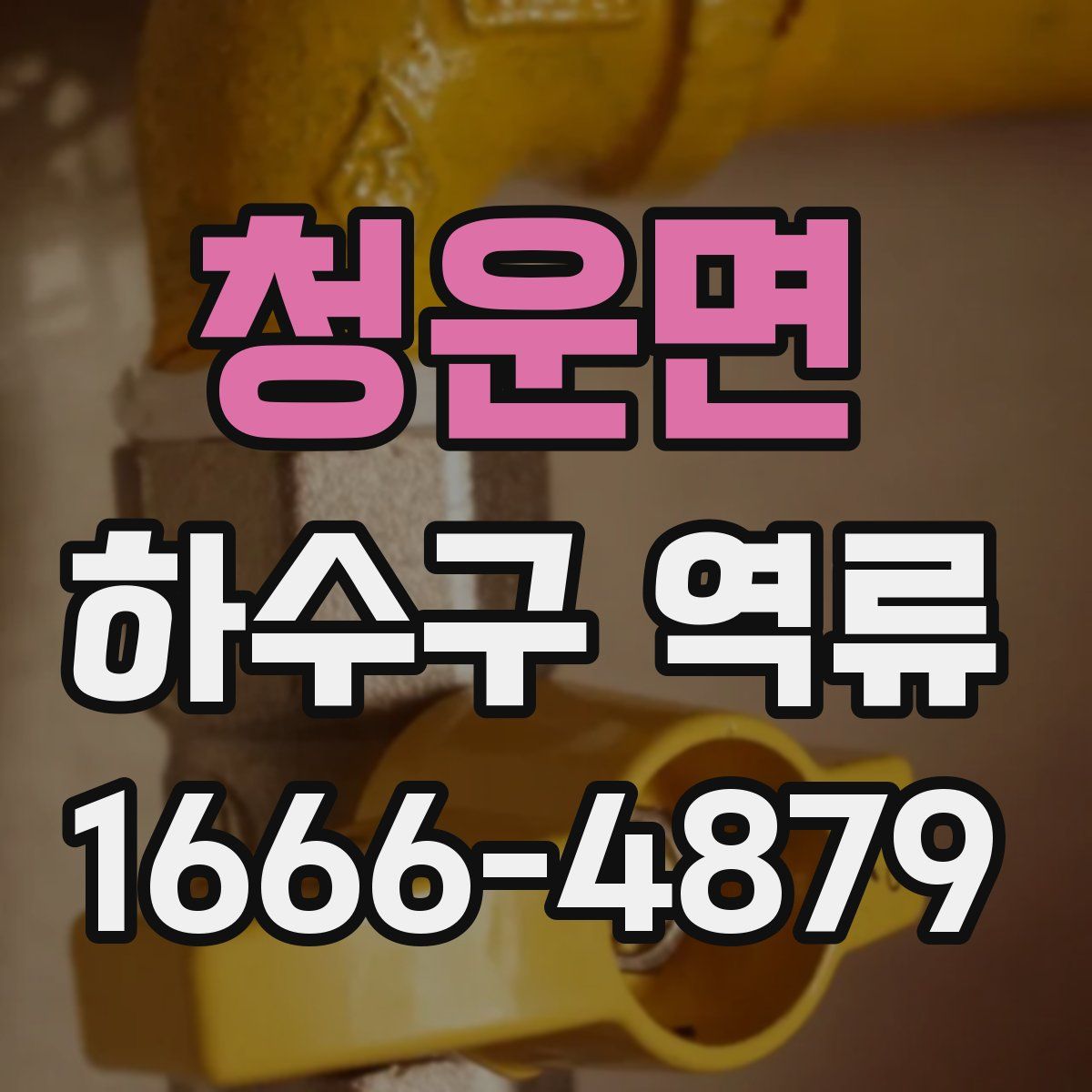 청운면 하수구 역류