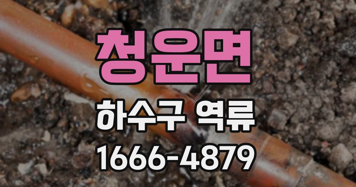 청운면 하수구 역류