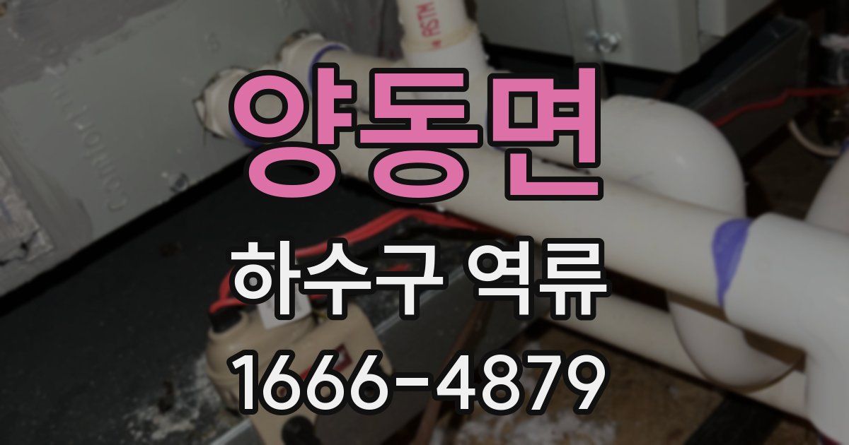 양동면 하수구 역류