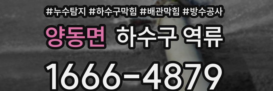 양동면 하수구 역류