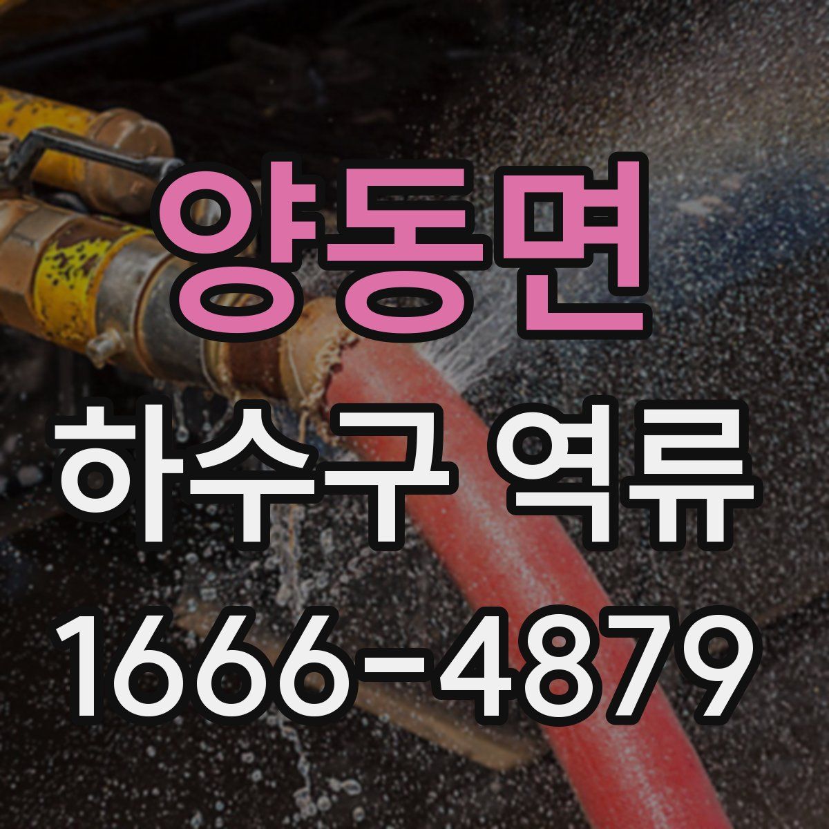 양동면 하수구 역류