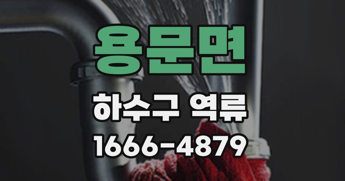 용문면 하수구 역류