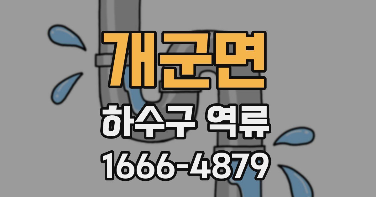 개군면 하수구 역류