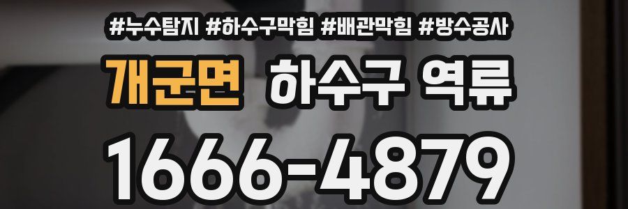 개군면 하수구 역류