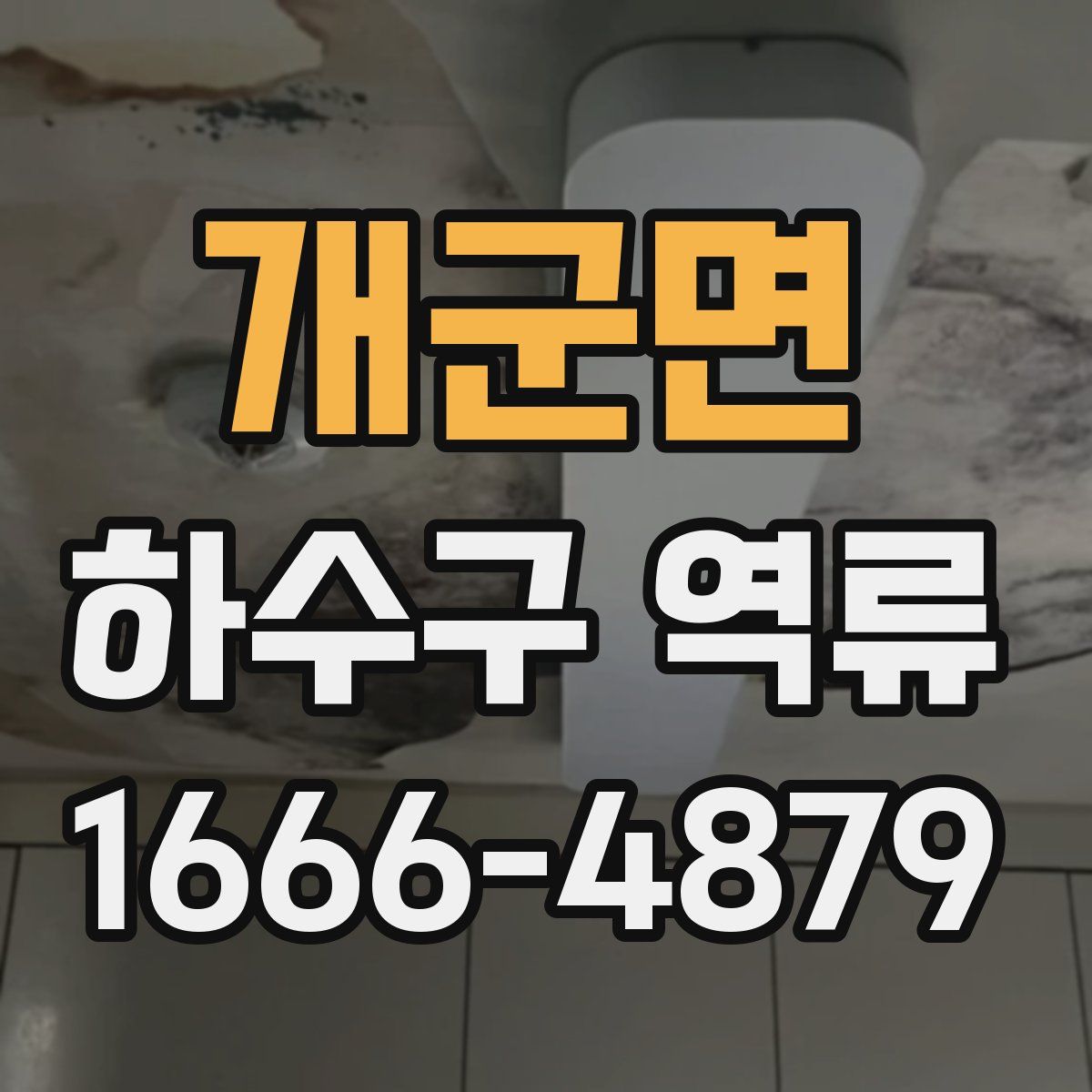 개군면 하수구 역류