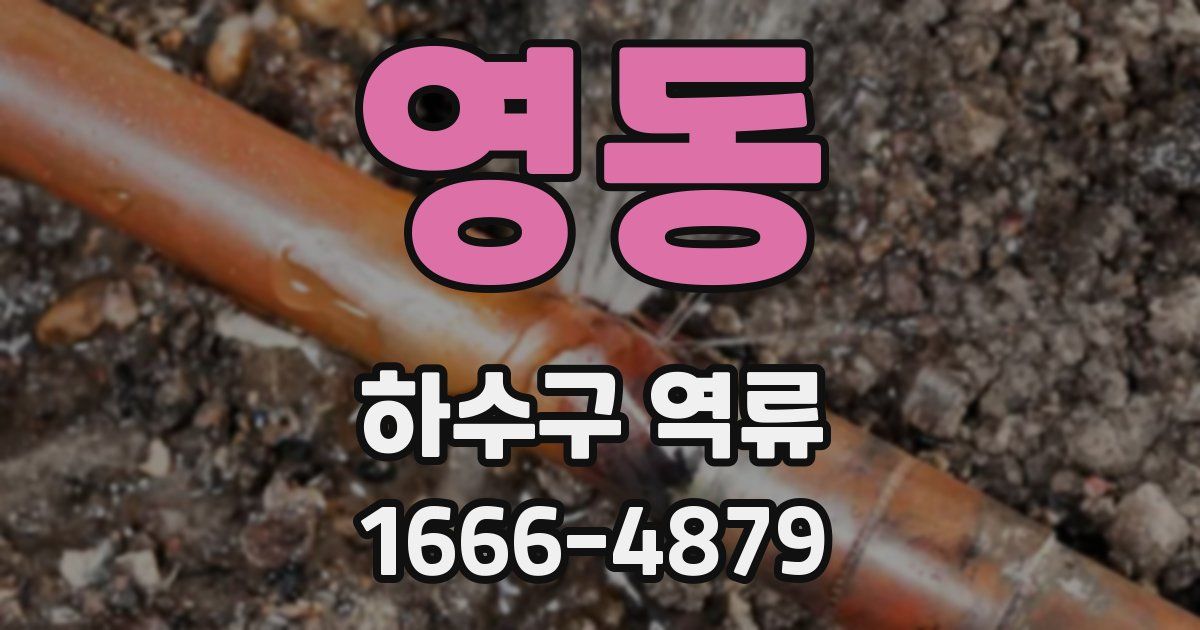 영동 하수구 역류