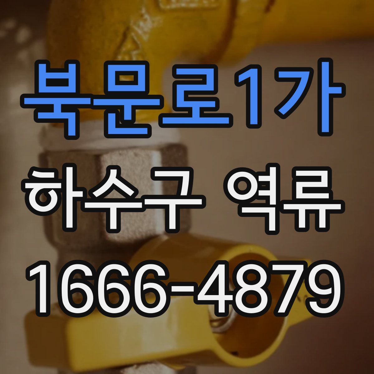 북문로1가 하수구 역류
