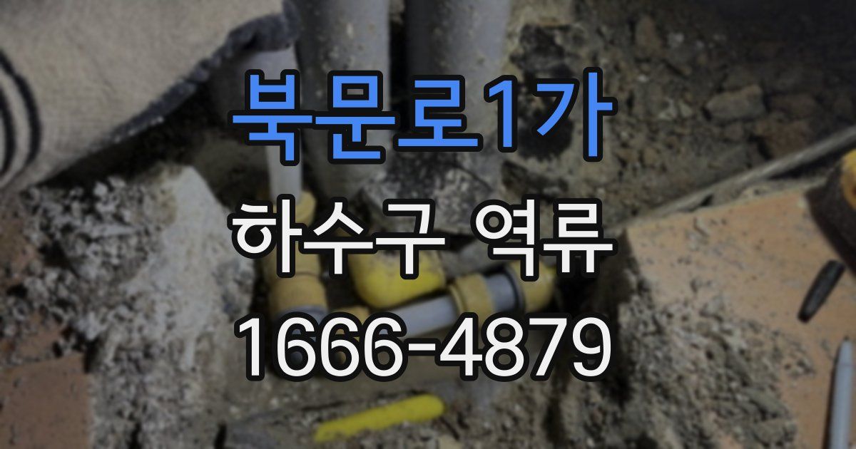 북문로1가 하수구 역류
