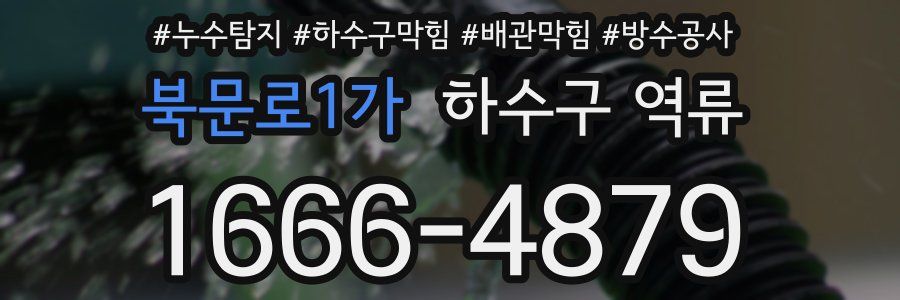 북문로1가 하수구 역류