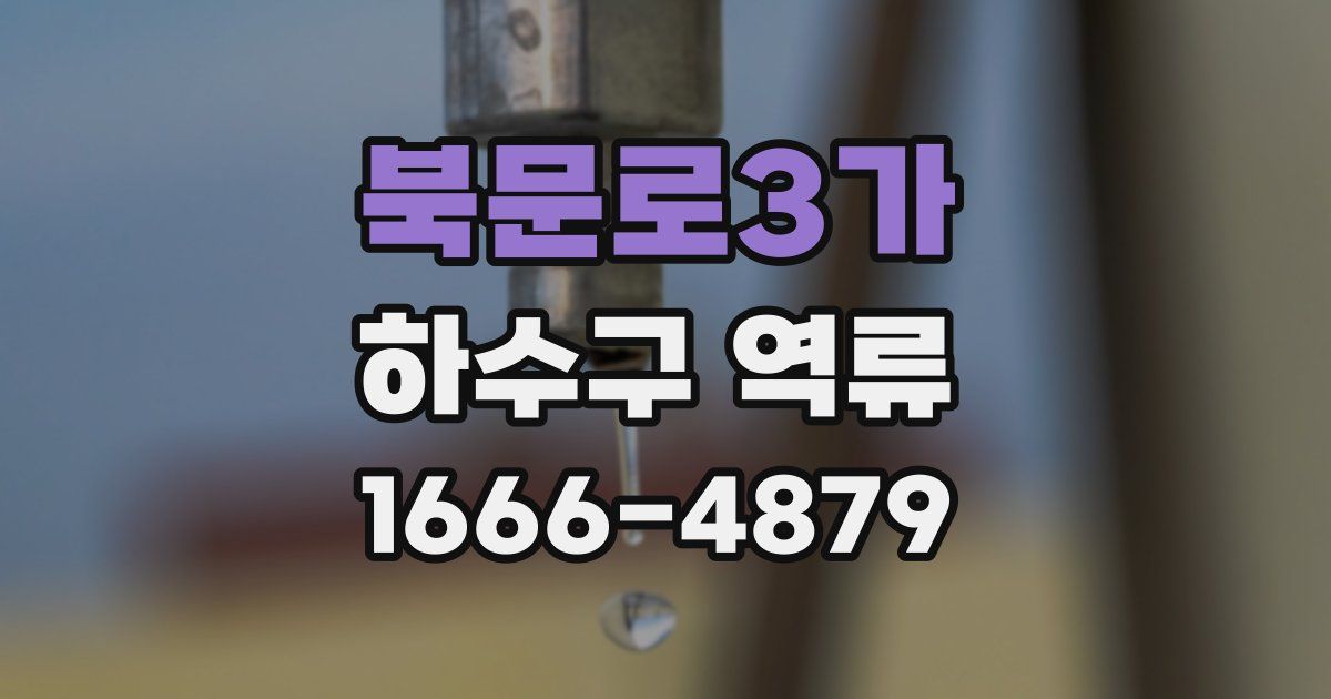 북문로3가 하수구 역류