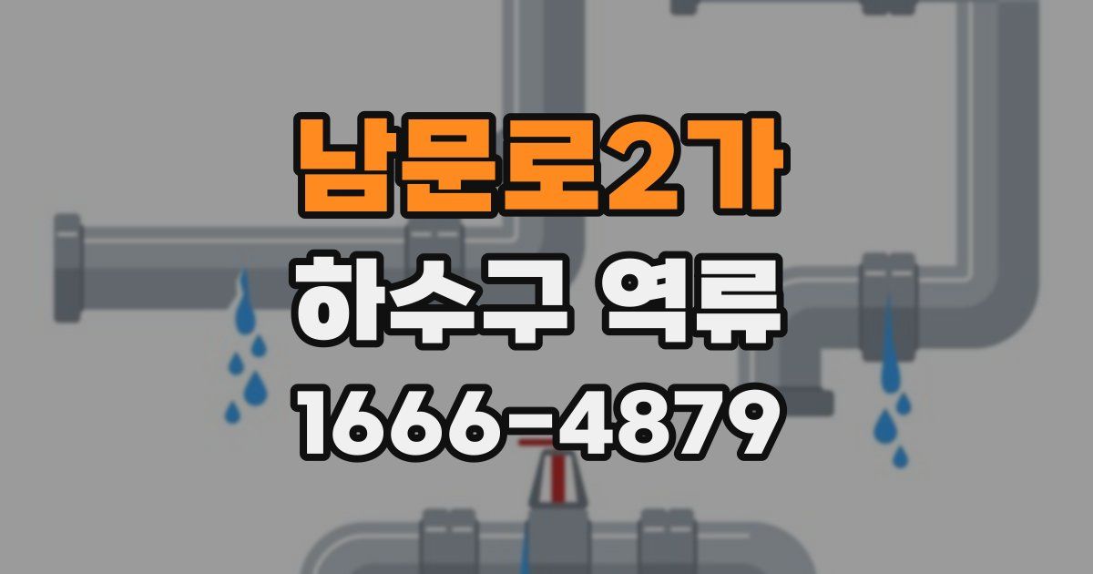 남문로2가 하수구 역류