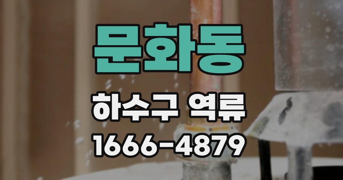 문화동 하수구 역류