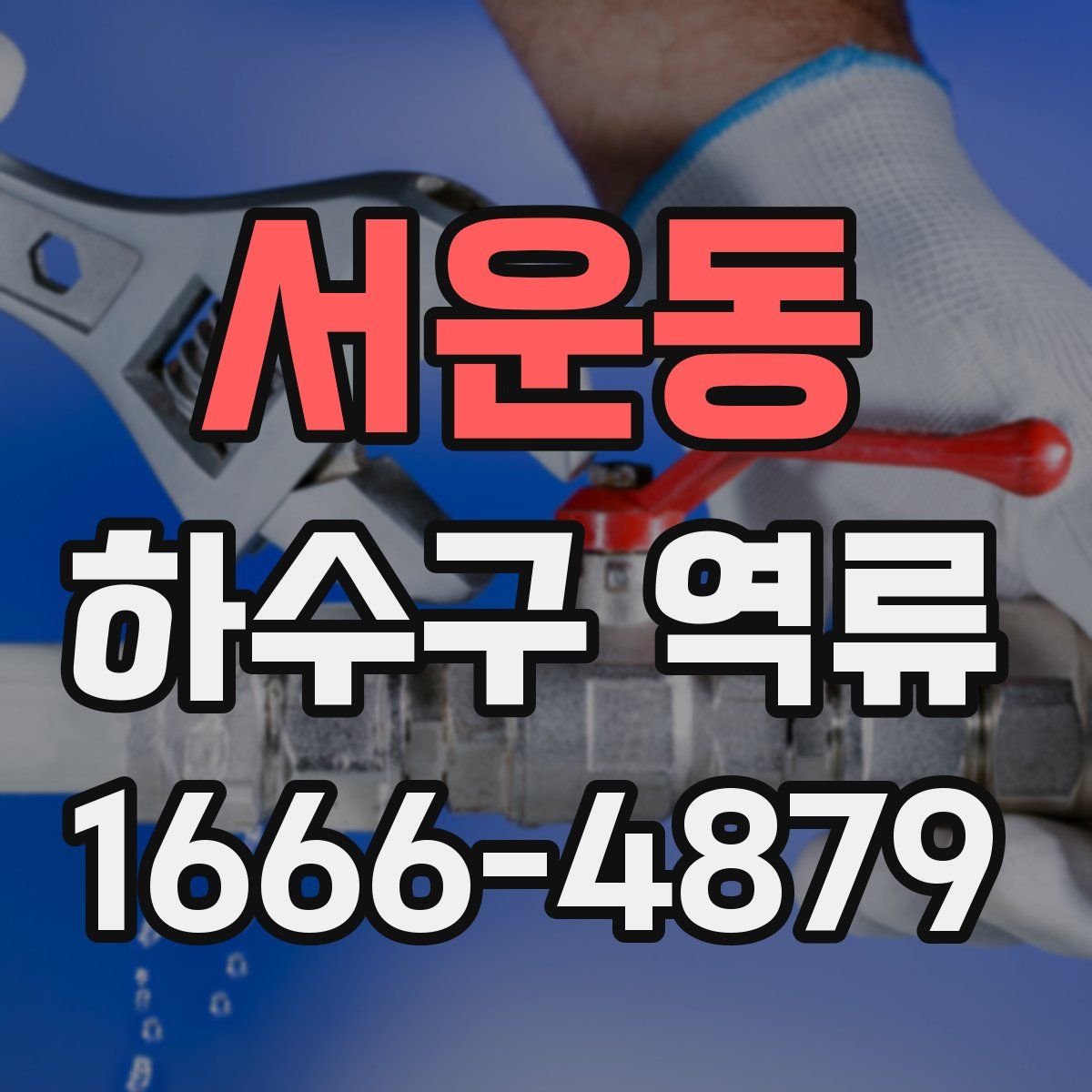 서운동 하수구 역류