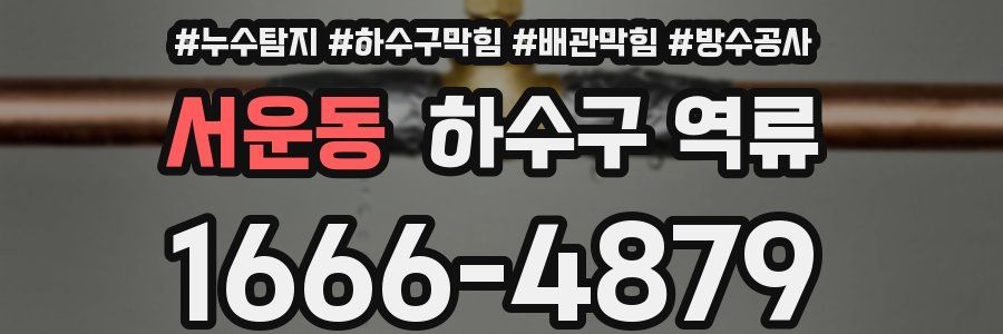 서운동 하수구 역류