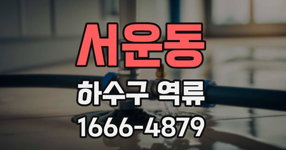 서운동 하수구 역류