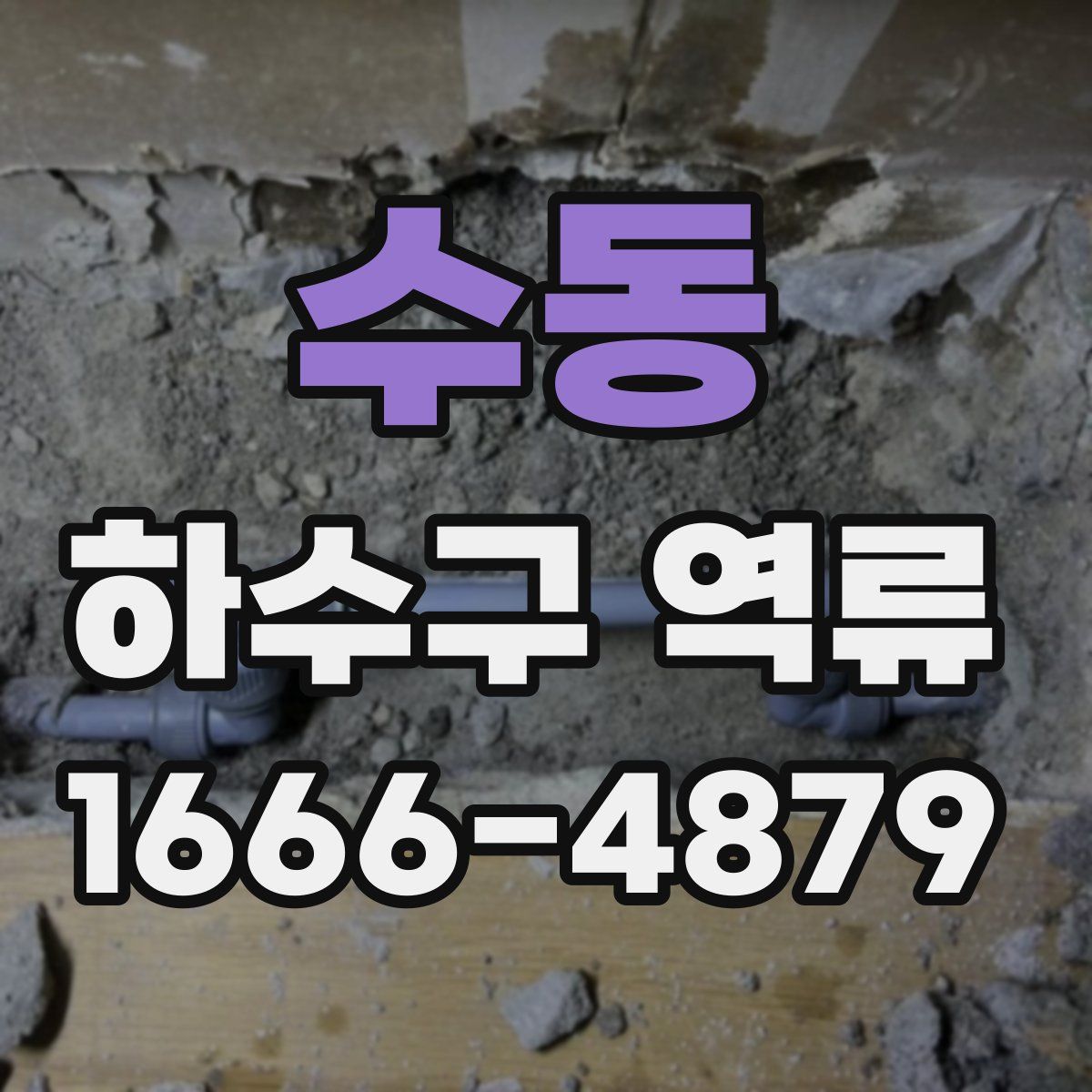 수동 하수구 역류
