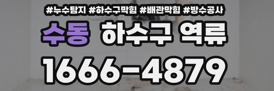 수동 하수구 역류
