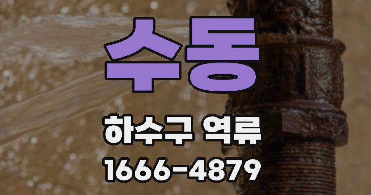 수동 하수구 역류