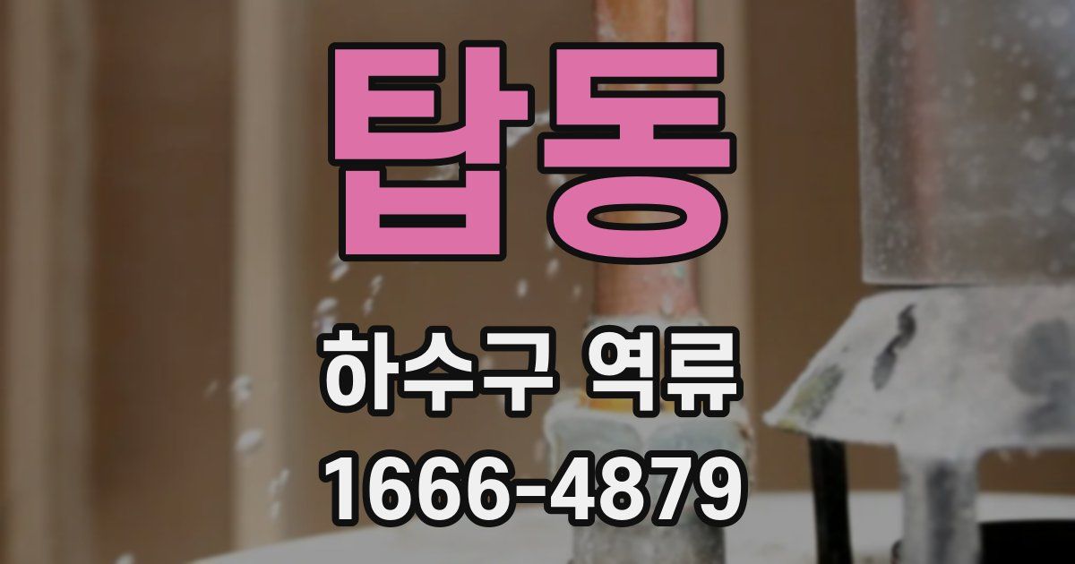 탑동 하수구 역류
