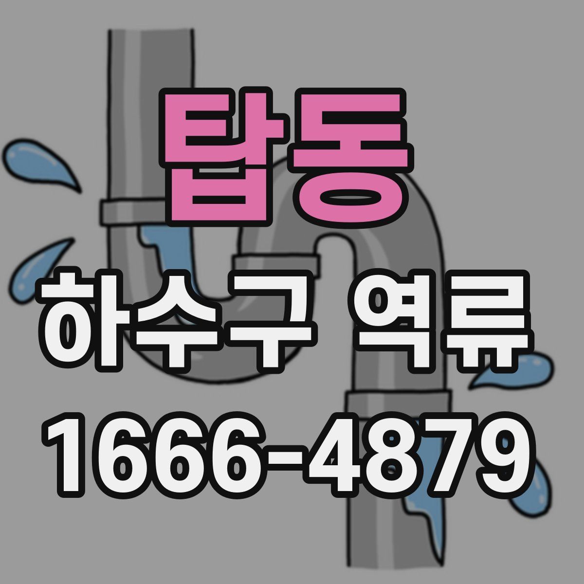 탑동 하수구 역류