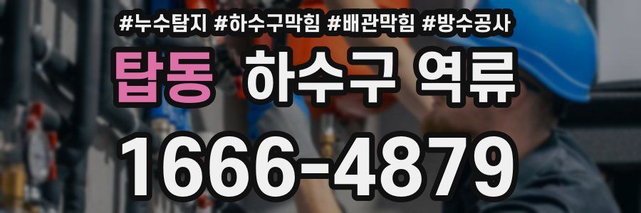 탑동 하수구 역류
